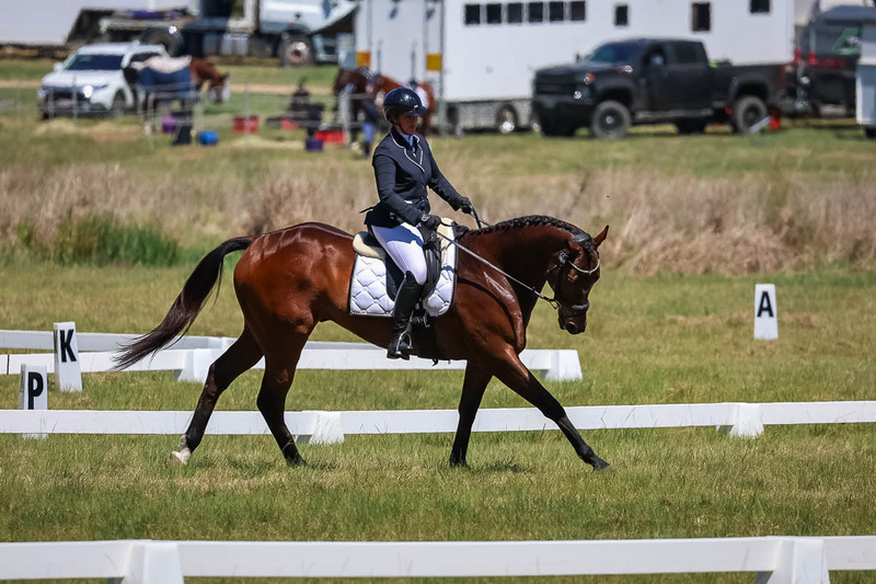 tEG 3DE 2025 Friday Dressage -1591.jpg