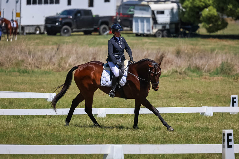 tEG 3DE 2025 Friday Dressage -1592.jpg