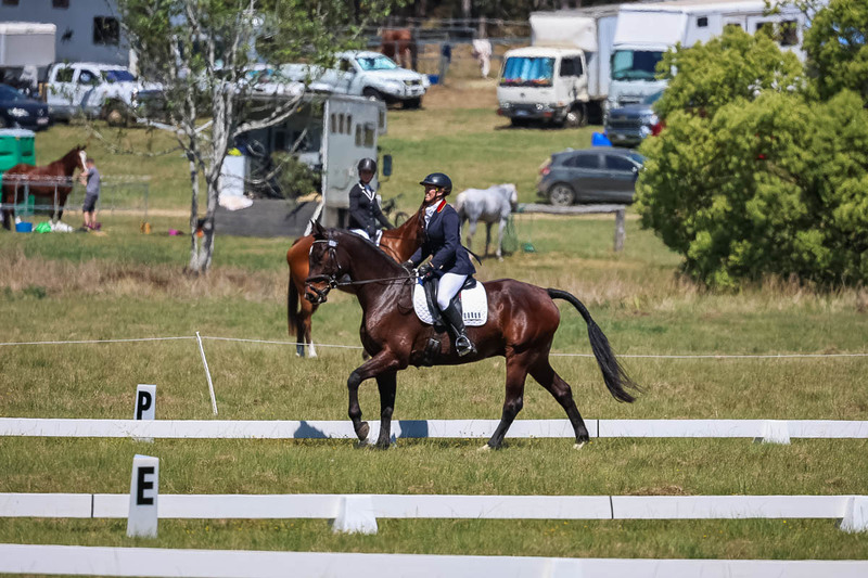 tEG 3DE 2025 Friday Dressage -1594.jpg