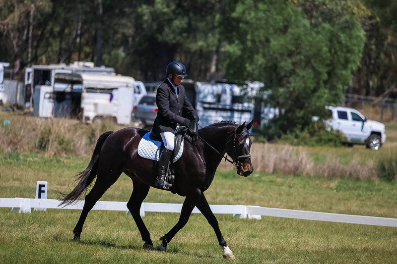 tEG 3DE 2025 Friday Dressage -1603.jpg