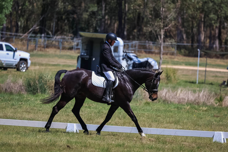 tEG 3DE 2025 Friday Dressage -1606.jpg