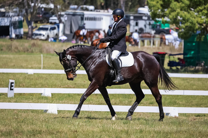 tEG 3DE 2025 Friday Dressage -1609.jpg