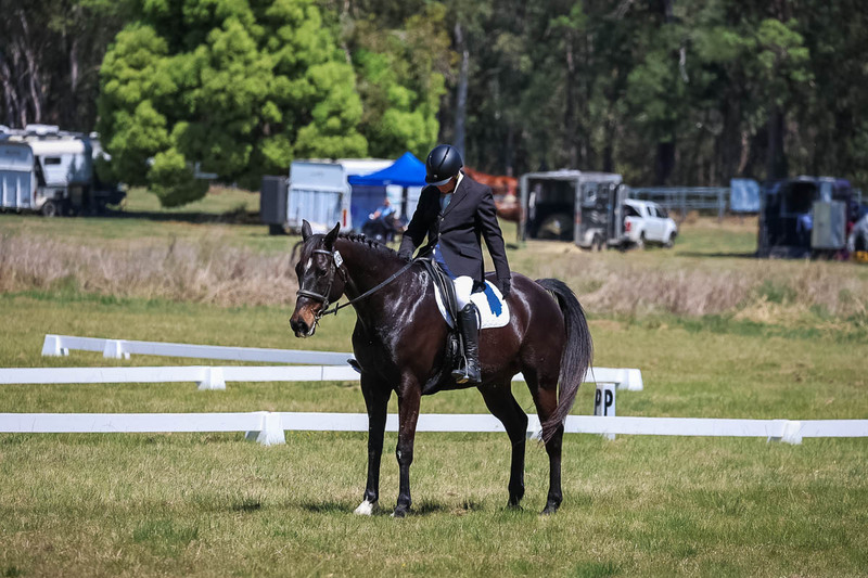 tEG 3DE 2025 Friday Dressage -1612.jpg