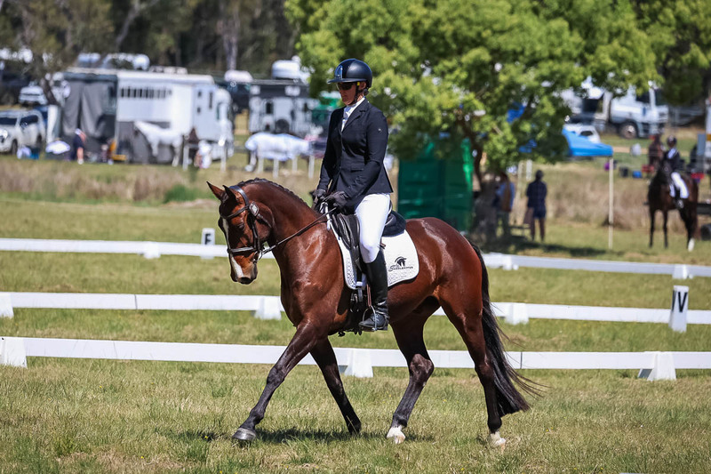 tEG 3DE 2025 Friday Dressage -1615.jpg