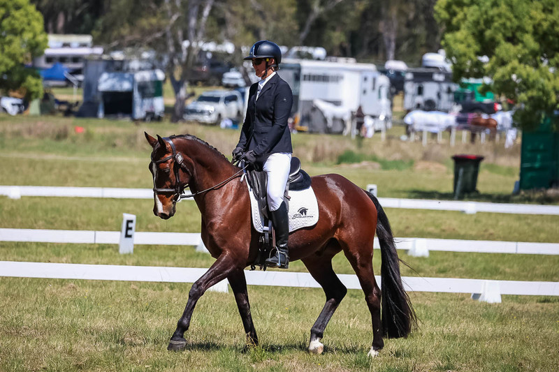 tEG 3DE 2025 Friday Dressage -1616.jpg