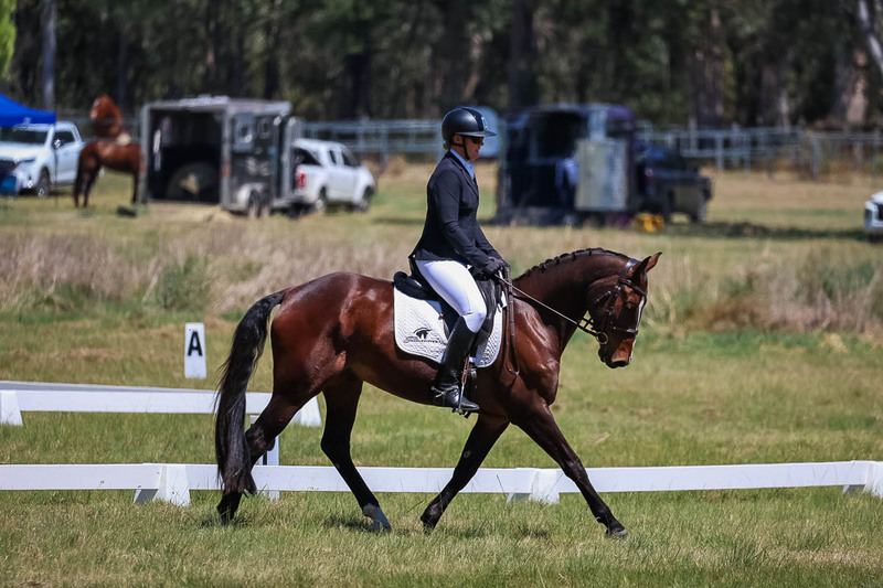 tEG 3DE 2025 Friday Dressage -1619.jpg