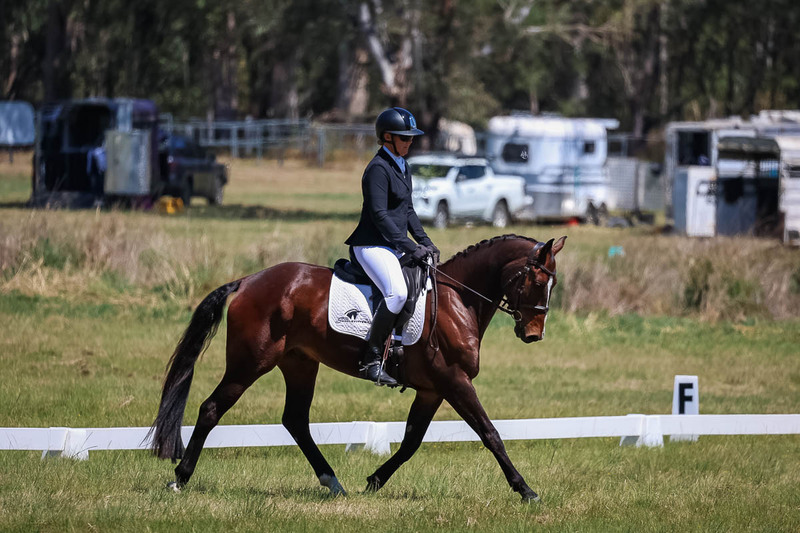 tEG 3DE 2025 Friday Dressage -1620.jpg