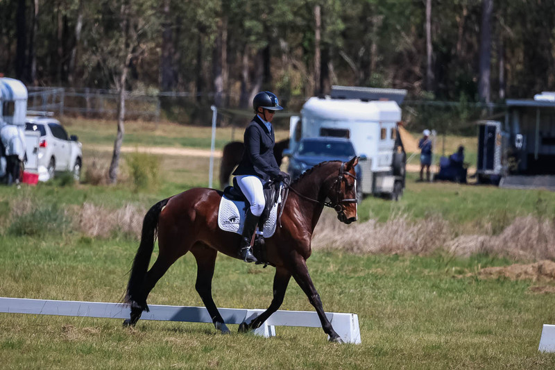 tEG 3DE 2025 Friday Dressage -1622.jpg