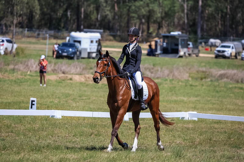 tEG 3DE 2025 Friday Dressage -1629.jpg