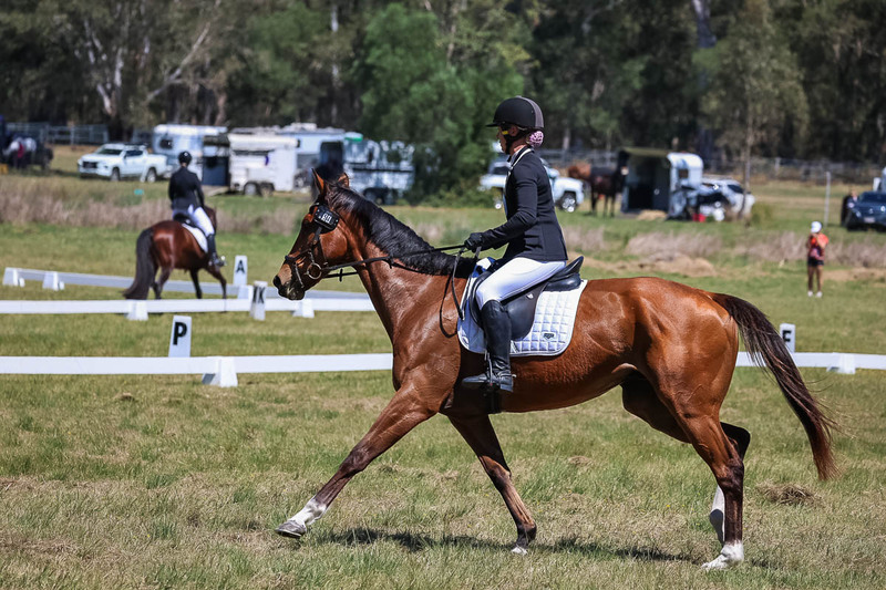 tEG 3DE 2025 Friday Dressage -1633.jpg
