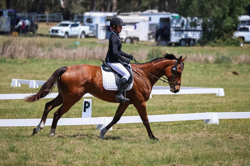 tEG 3DE 2025 Friday Dressage -1634.jpg