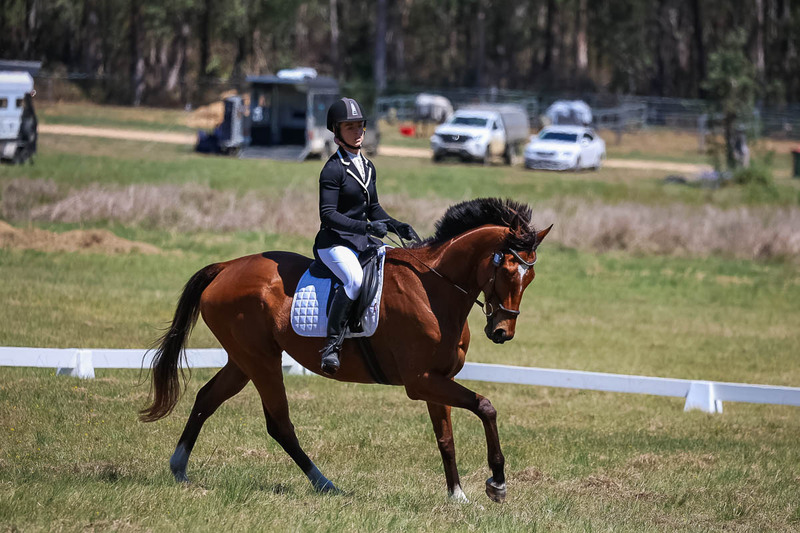 tEG 3DE 2025 Friday Dressage -1637.jpg