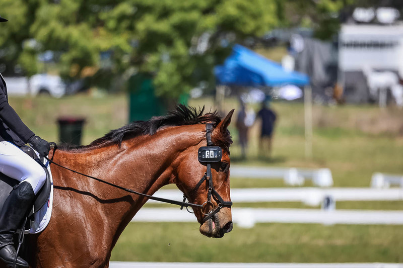 tEG 3DE 2025 Friday Dressage -1638.jpg