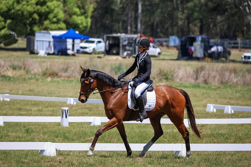 tEG 3DE 2025 Friday Dressage -1642.jpg