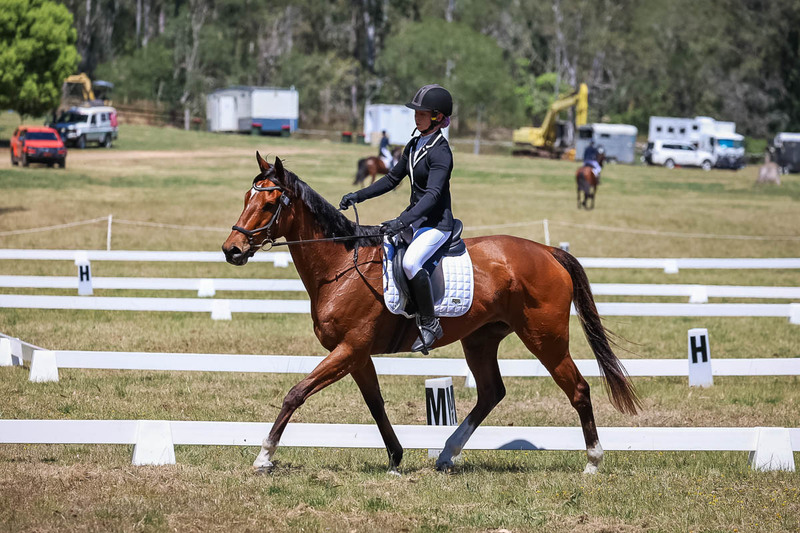 tEG 3DE 2025 Friday Dressage -1643.jpg