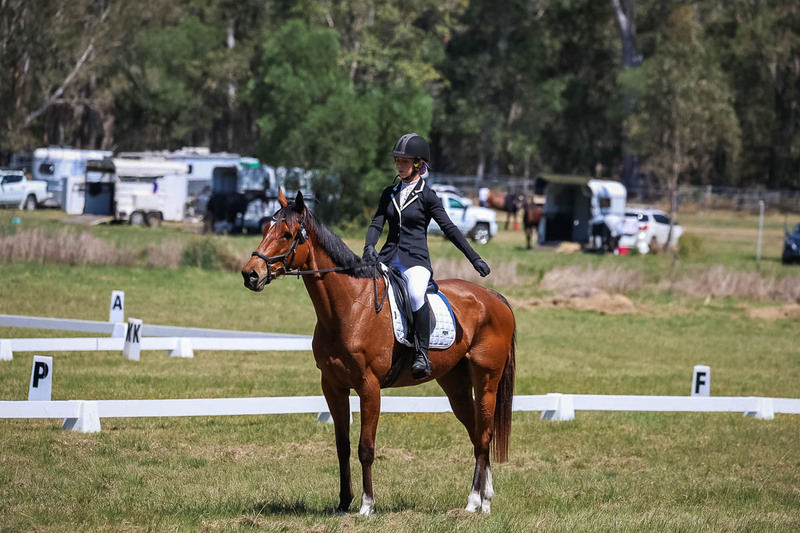 tEG 3DE 2025 Friday Dressage -1645.jpg