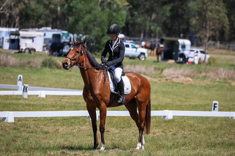 tEG 3DE 2025 Friday Dressage -1646.jpg