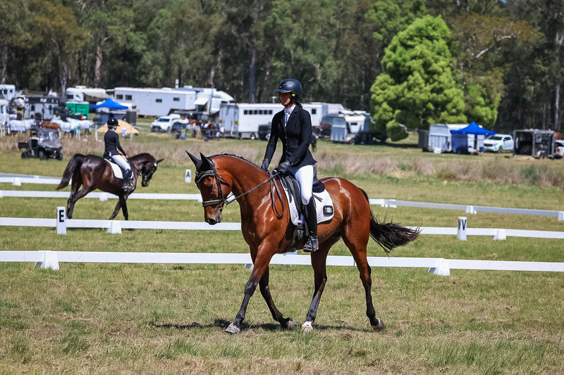 tEG 3DE 2025 Friday Dressage -1649.jpg