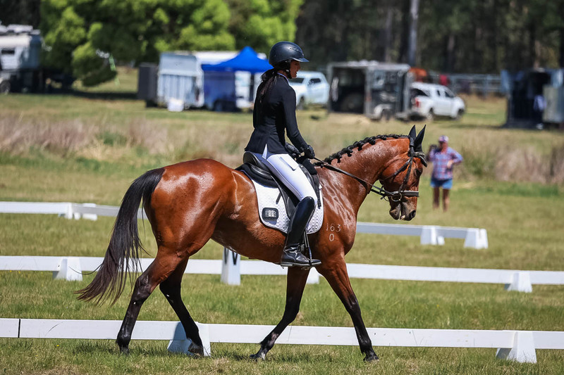 tEG 3DE 2025 Friday Dressage -1651.jpg