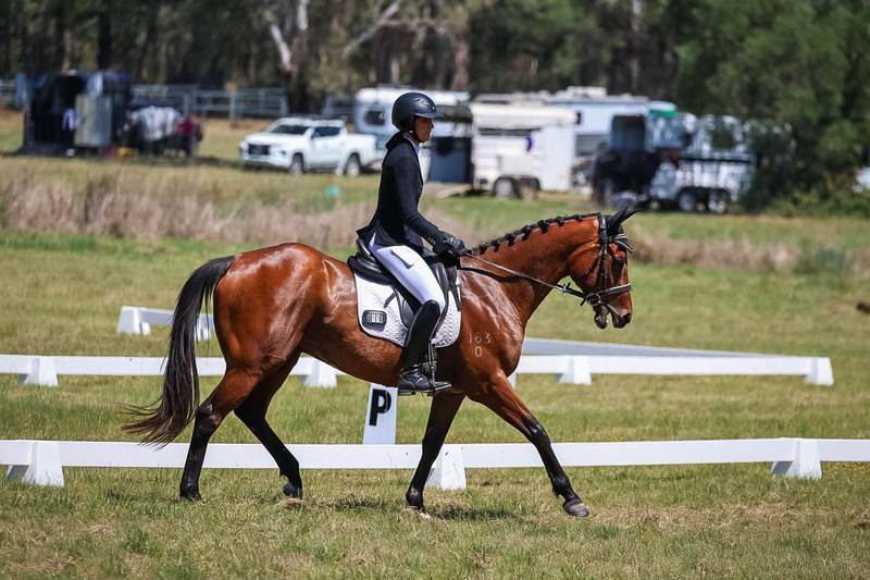 tEG 3DE 2025 Friday Dressage -1652.jpg