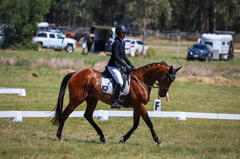 tEG 3DE 2025 Friday Dressage -1653.jpg