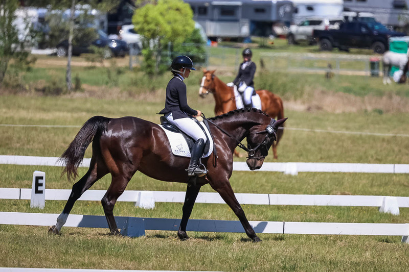 tEG 3DE 2025 Friday Dressage -1660.jpg