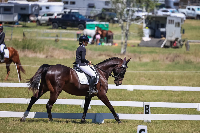 tEG 3DE 2025 Friday Dressage -1661.jpg