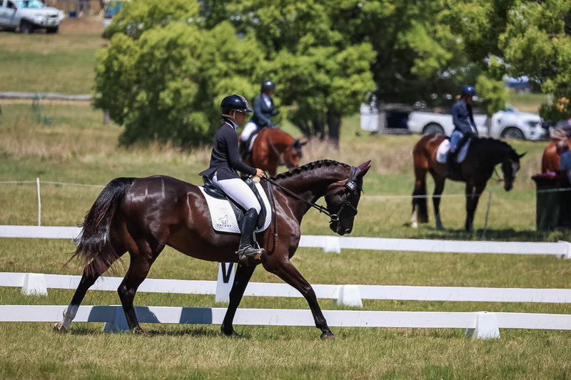 tEG 3DE 2025 Friday Dressage -1662.jpg