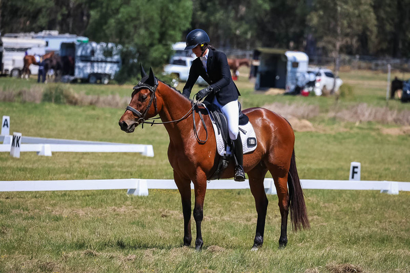 tEG 3DE 2025 Friday Dressage -1673.jpg