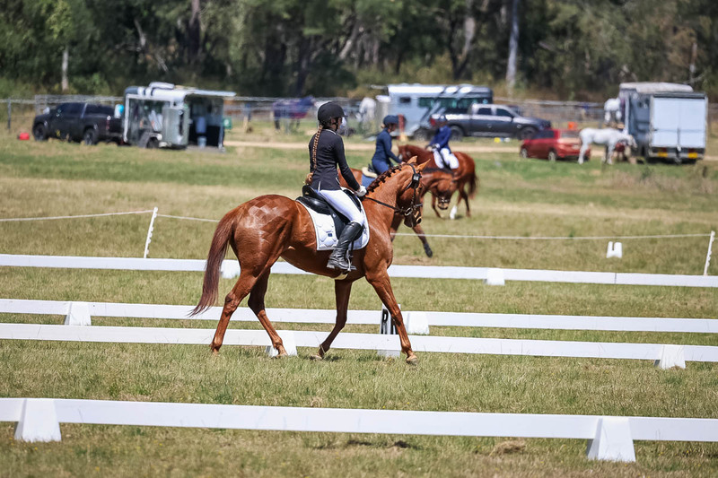 tEG 3DE 2025 Friday Dressage -1675.jpg
