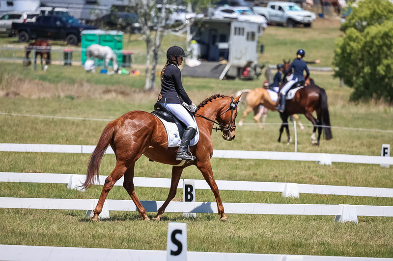 tEG 3DE 2025 Friday Dressage -1676.jpg