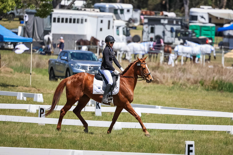 tEG 3DE 2025 Friday Dressage -1677.jpg