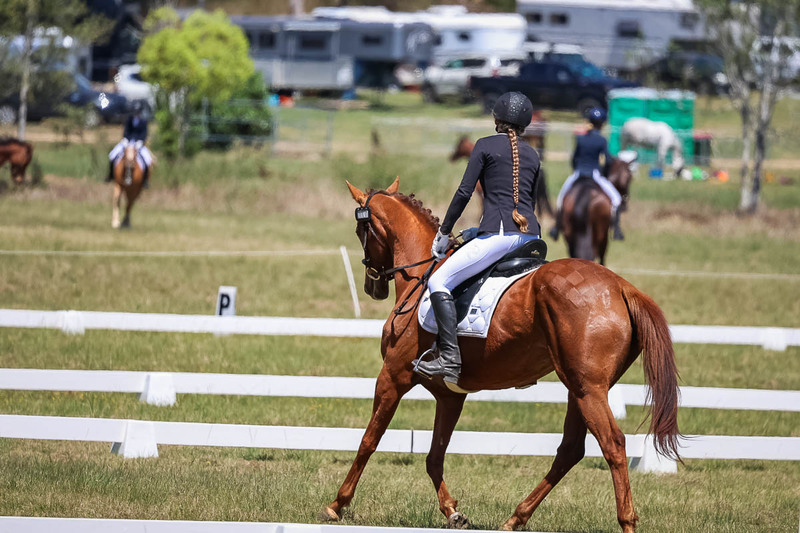 tEG 3DE 2025 Friday Dressage -1678.jpg