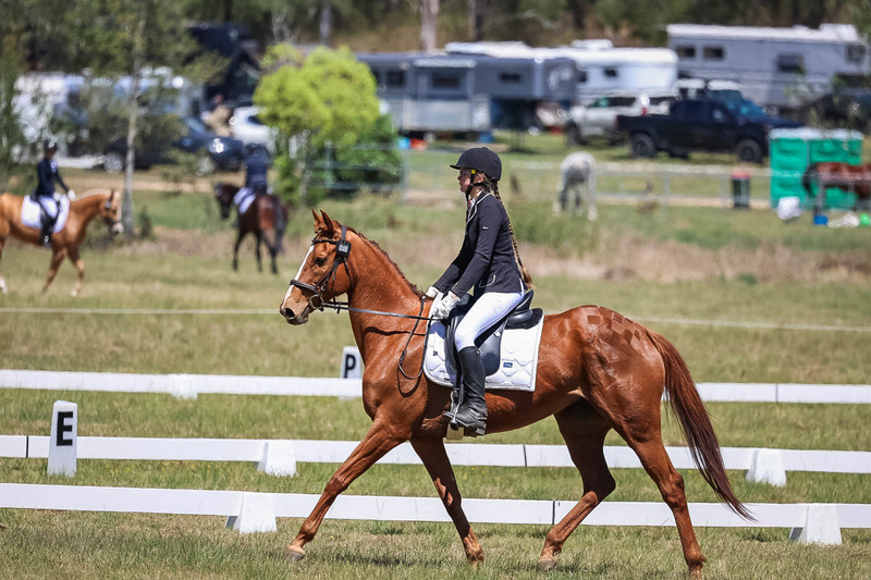 tEG 3DE 2025 Friday Dressage -1679.jpg