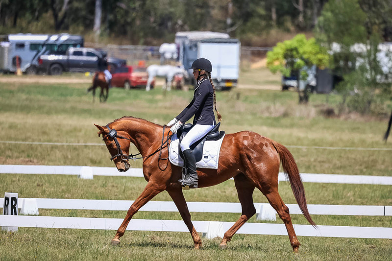 tEG 3DE 2025 Friday Dressage -1680.jpg