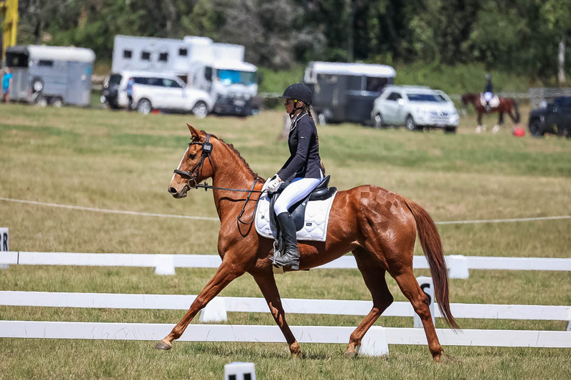tEG 3DE 2025 Friday Dressage -1681.jpg