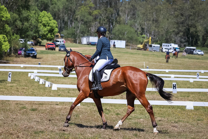 tEG 3DE 2025 Friday Dressage -1685.jpg