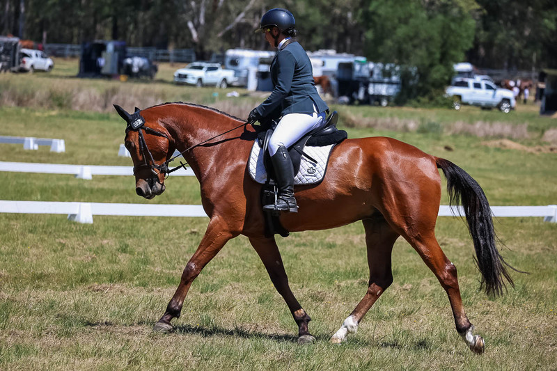 tEG 3DE 2025 Friday Dressage -1688.jpg