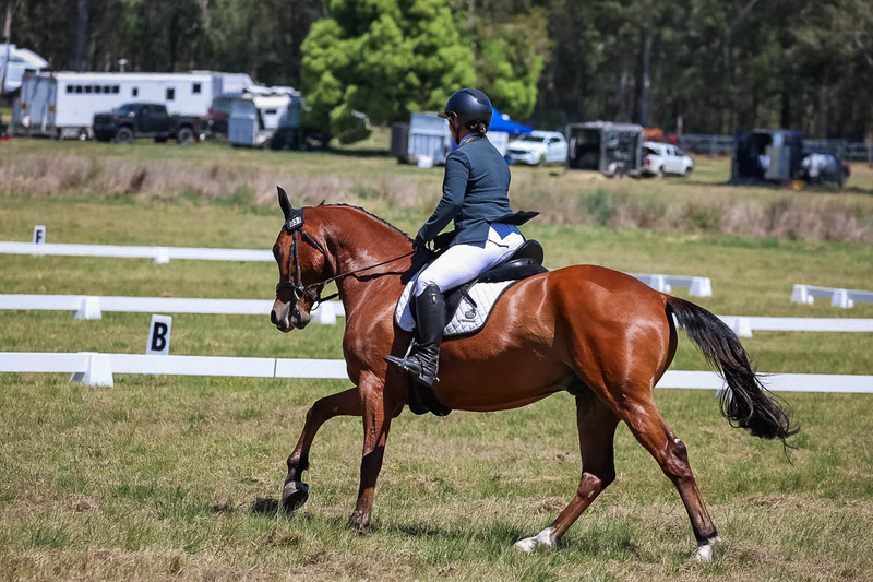 tEG 3DE 2025 Friday Dressage -1690.jpg