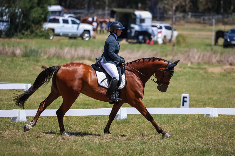 tEG 3DE 2025 Friday Dressage -1691.jpg