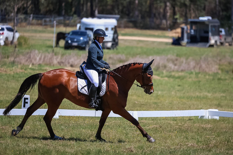 tEG 3DE 2025 Friday Dressage -1692.jpg