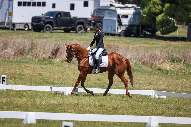 tEG 3DE 2025 Friday Dressage -1694.jpg