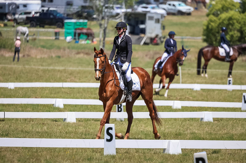 tEG 3DE 2025 Friday Dressage -1695.jpg