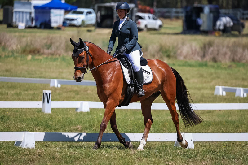 tEG 3DE 2025 Friday Dressage -1696.jpg