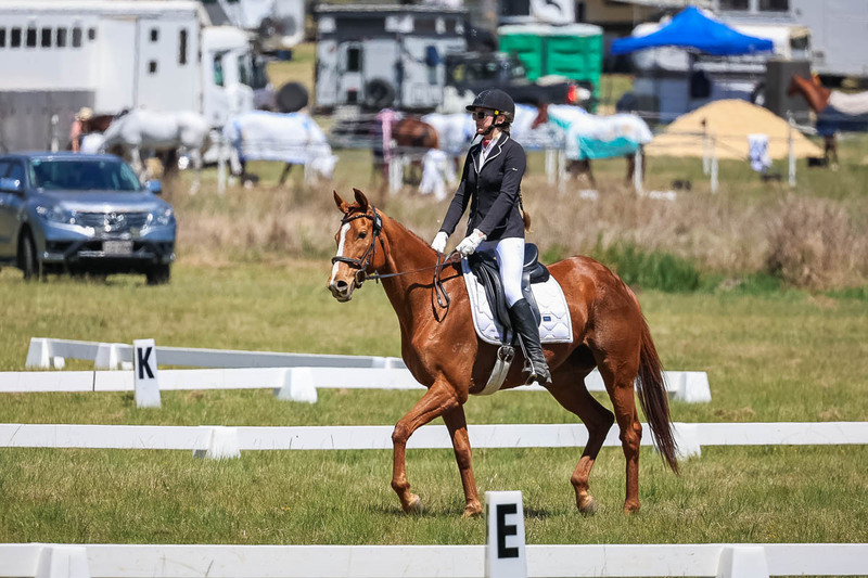 tEG 3DE 2025 Friday Dressage -1698.jpg