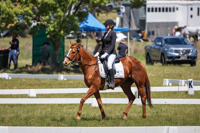 tEG 3DE 2025 Friday Dressage -1699.jpg