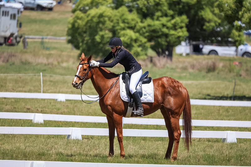 tEG 3DE 2025 Friday Dressage -1701.jpg