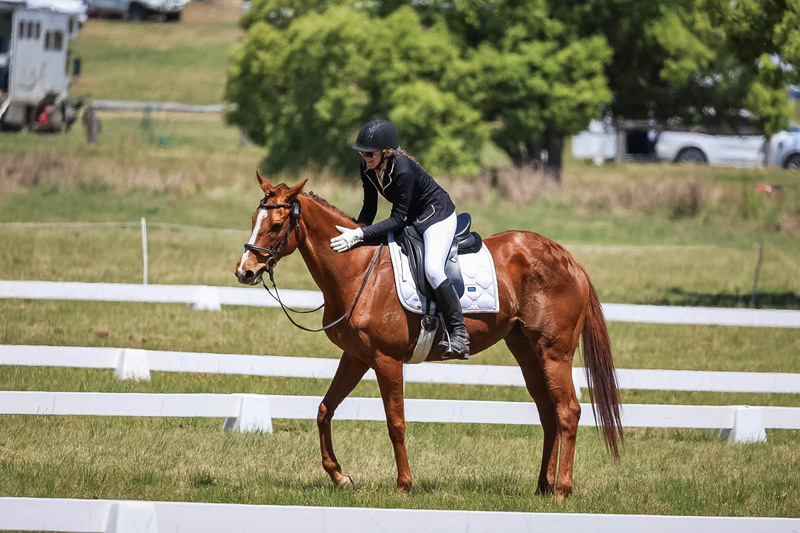 tEG 3DE 2025 Friday Dressage -1702.jpg