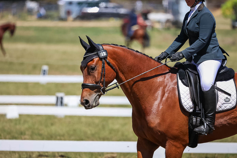 tEG 3DE 2025 Friday Dressage -1704.jpg