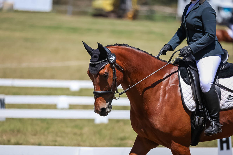 tEG 3DE 2025 Friday Dressage -1705.jpg